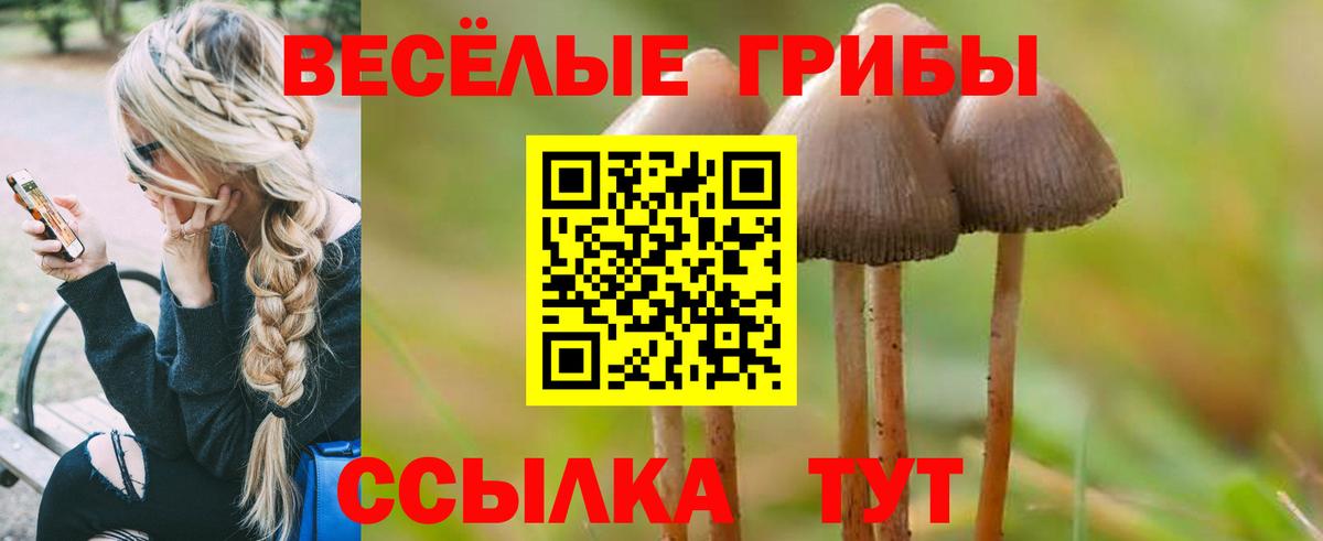 Пенза  Галлюциногенные грибы Psilocybe  Вход с VPN 